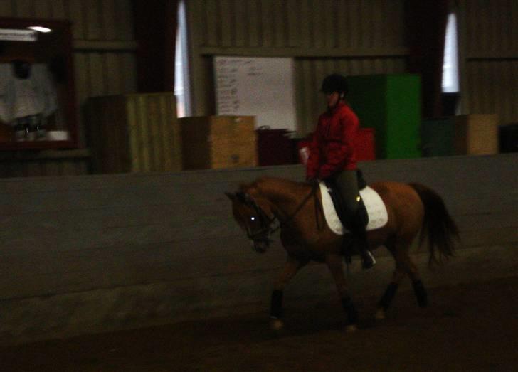 Anden særlig race magic fancy fancy(ik min) billede 7