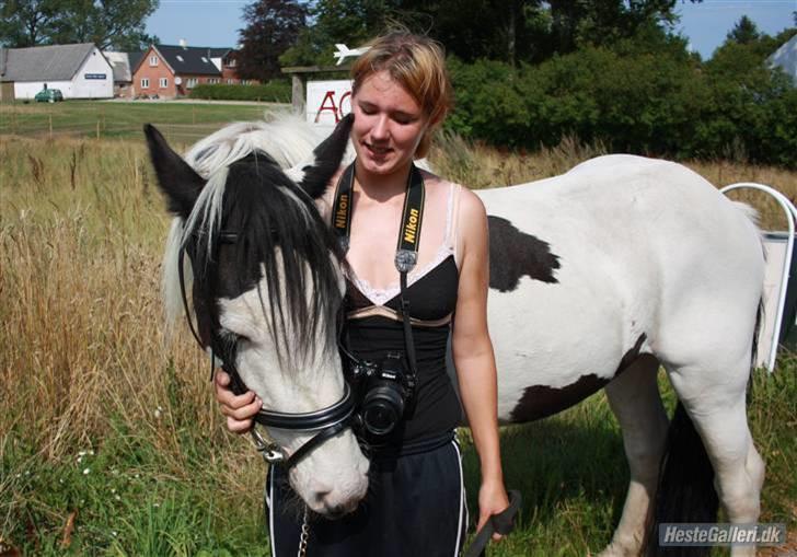Barockpinto Nordholm's Aiko *R.I.P*  billede 10
