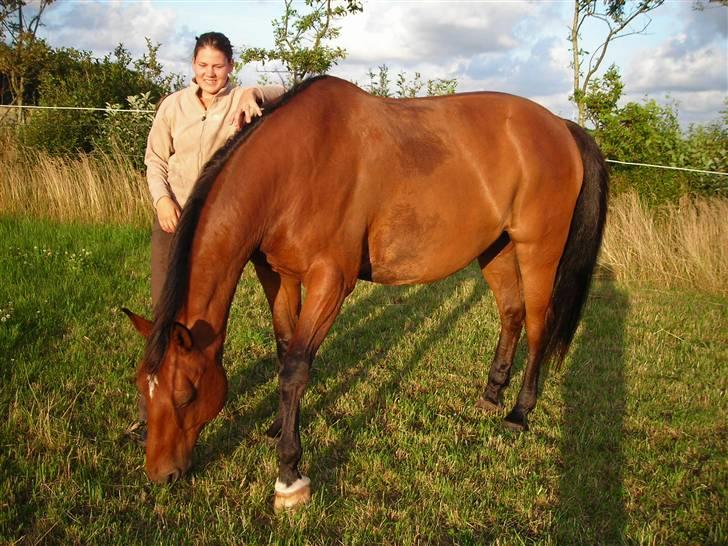 Dansk Varmblod Klostervangs nautilus - Opmærksomhed ? Jeg elsker det =D billede 22