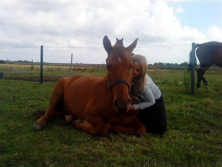 Anden særlig race Hudini! - mig og min elskede hest! <3 foto Pernille Lynge <3 billede 11
