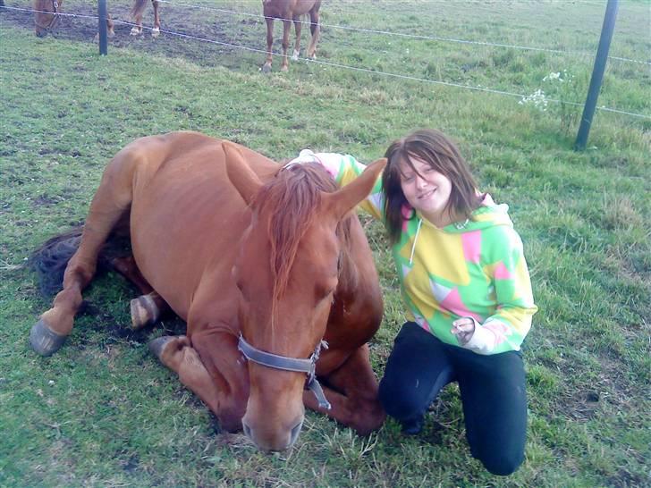 Anden særlig race Hudini! - de dejlige! ;b<3 foto Pernille Lynge <3 billede 12