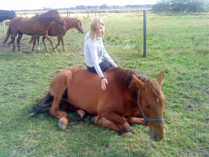 Anden særlig race Hudini! - os igen <3 foto Pernille Lynge <3 billede 14