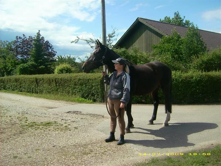 Dansk Varmblod Jacqueline Egeris**solgt* - Jacqueline og mig billede 8