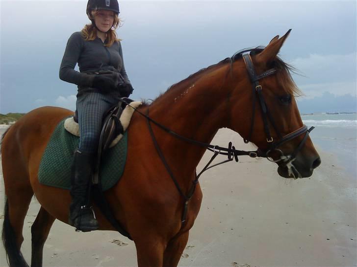 Traver Highlight<3†DØD†savnet:'( billede 11