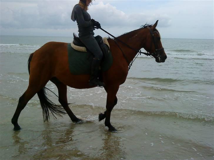 Traver Highlight<3†DØD†savnet:'( billede 12