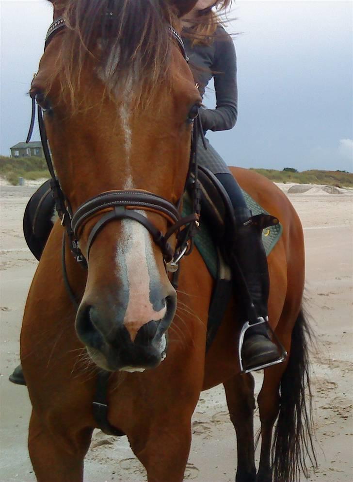 Traver Highlight<3†DØD†savnet:'( billede 13