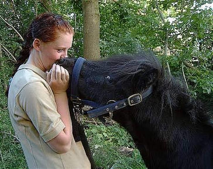 Shetlænder Elvis - Mig og Elvis for mange år siden på augb rideskole :) billede 10