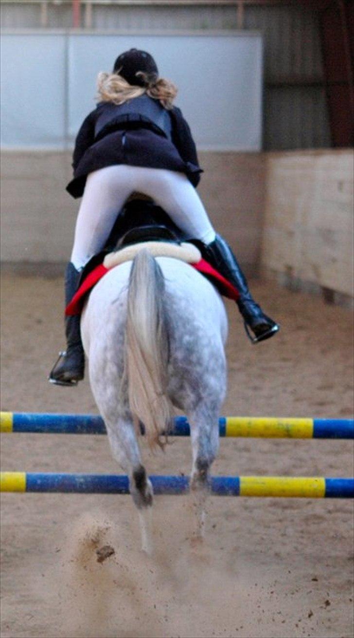 DSP Hannibal - når enden er god, er alting godt :-) 2011 billede 6