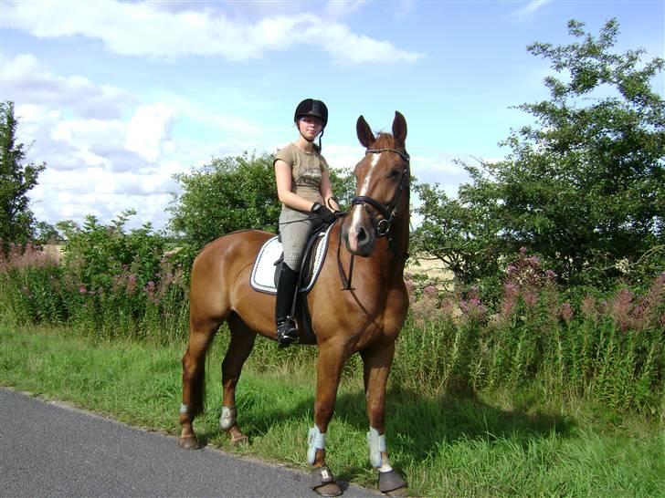 Dansk Varmblod Nørringsholms Play Red - vi nyder vejret :D <333 billede 14