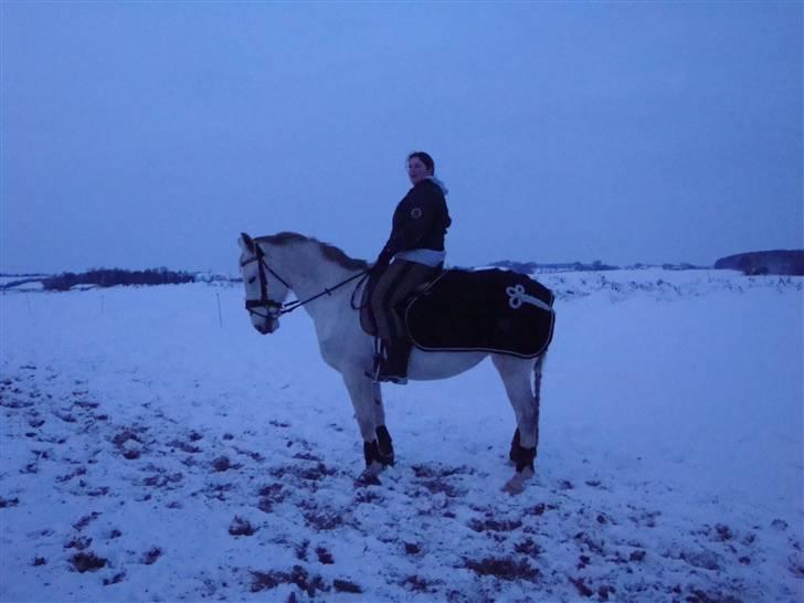 Lipizzaner Dalsø´s kiri - Meget kold vinter dag.... med vores nye dækken, som vi har fået af danny jubiii billede 11