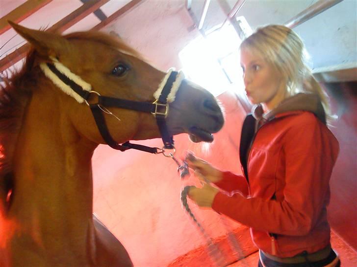 DSP Donna <3 SOLGT billede 10
