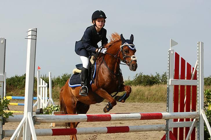 Welsh Pony (sec B) Ysselvliedt's Gipsy Boy - stævne SYK august 09, taget af Palle billede 1