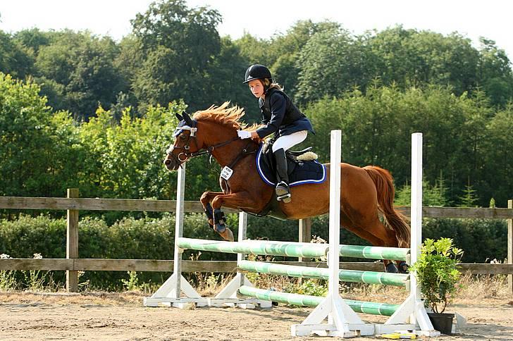 Welsh Pony (sec B) Ysselvliedt's Gipsy Boy - stævne SYK august 09, taget af Palle billede 12