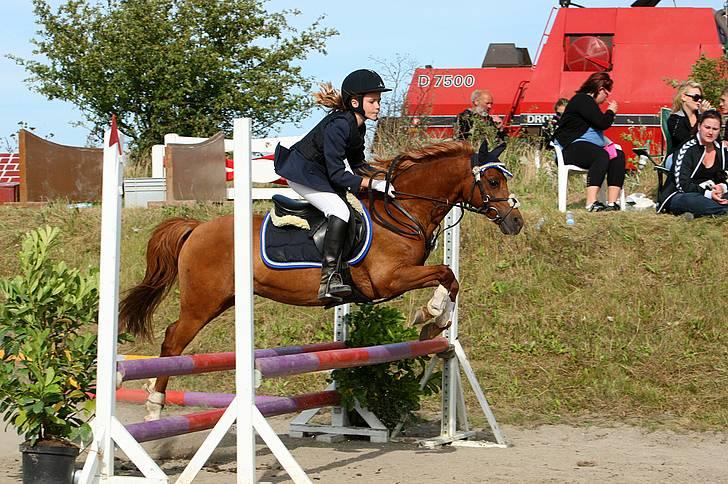 Welsh Pony (sec B) Ysselvliedt's Gipsy Boy - Distriktsmesterskab SYK 09, taget af Palle billede 8