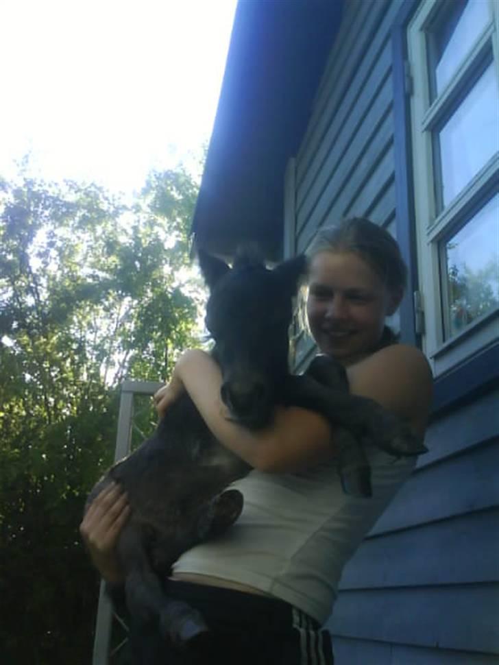 Anden særlig race † Pindstruphavens Turbo † - Turbo boy og mig (kopiring ikke tilladt) billede 1