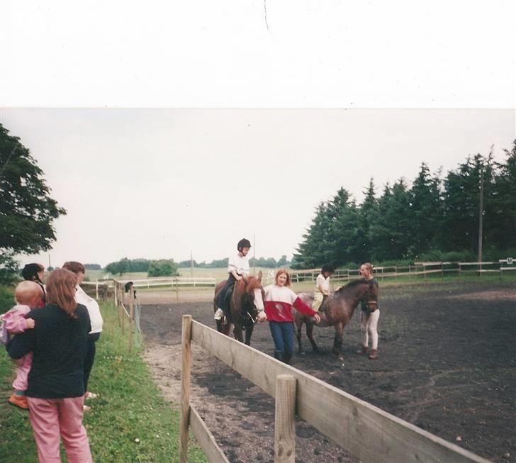 Anden særlig race Bandit<3 R.I.P 2001;'/ billede 10