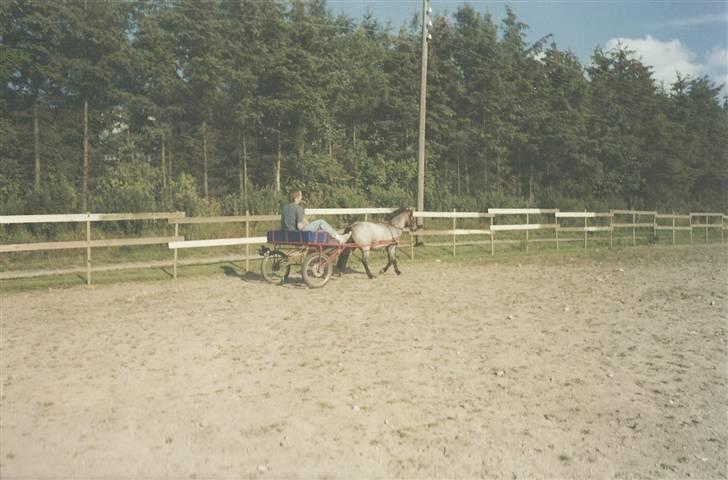 Anden særlig race Bandit<3 R.I.P 2001;'/ billede 11