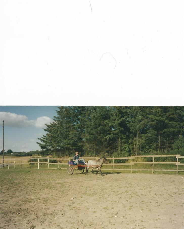 Anden særlig race Bandit<3 R.I.P 2001;'/ billede 12