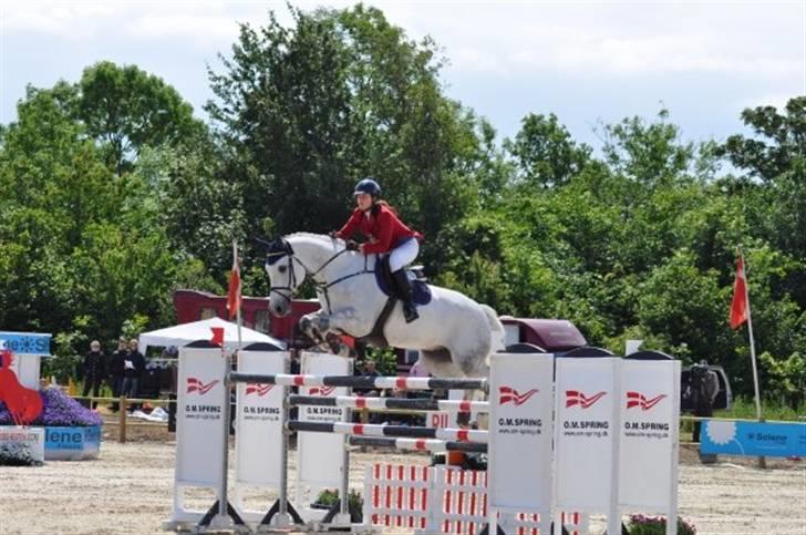 Dansk Varmblod Antares - Anton og Mettine til DM i Middelfart:) billede 5