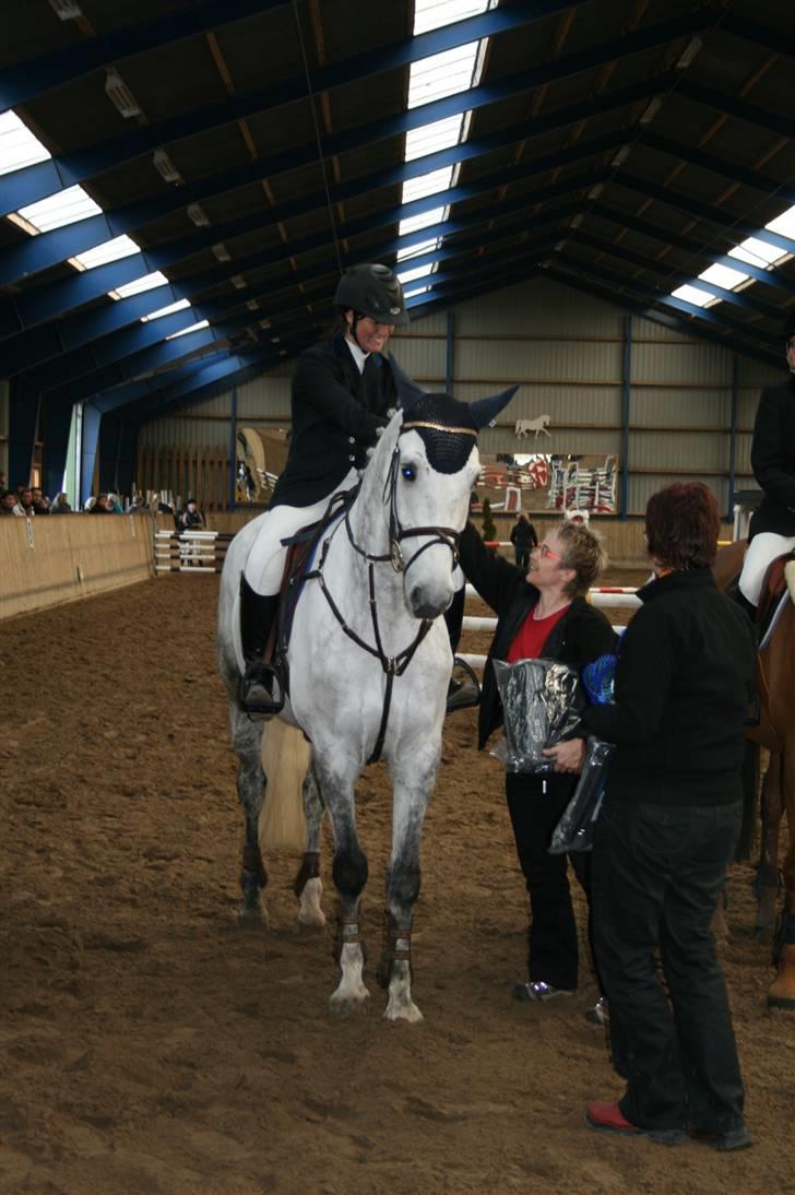 Dansk Varmblod Antares - 50 års jubilæum billede 7