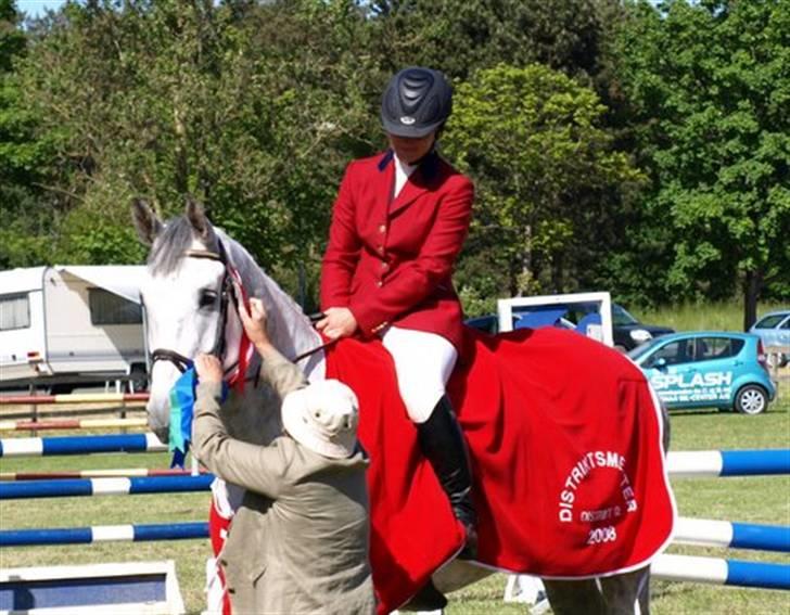 Dansk Varmblod Antares - Præmieoverrakkelse billede 8