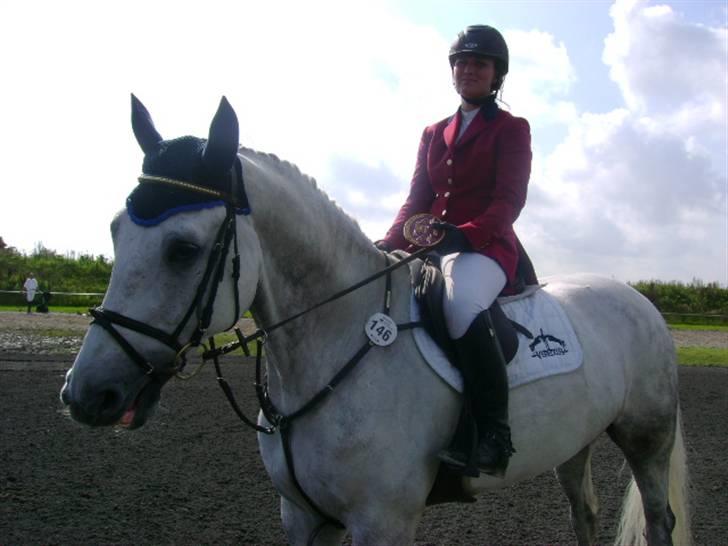 Dansk Varmblod Antares - Antoooooooon!!! billede 9