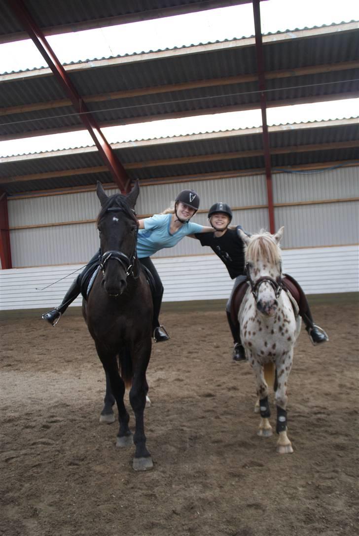 Oldenborg Carius Stengaard † - Hygge med nina og plet:) Foto Line Braskø billede 18