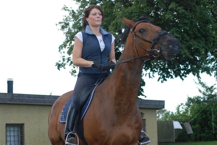 Dansk Varmblod Highlight - Vi lider begge af tunge-rækker-syndromet ! :P billede 6