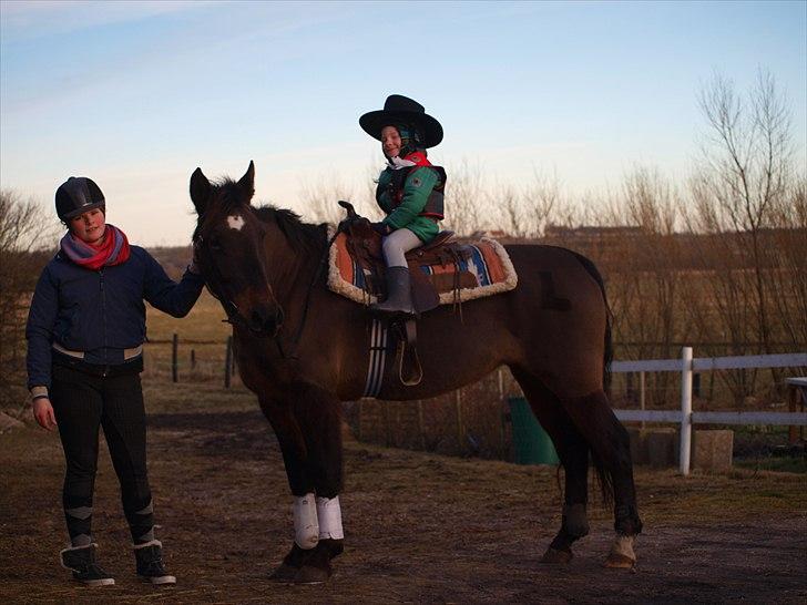 Anden særlig race Lady - 11. Lady som cowboy hest ;-) 2011 billede 11