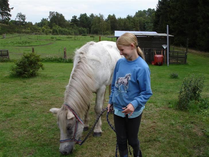 Islænder Gráni frá Seljalandi  - Bella og Gráni hygger billede 5