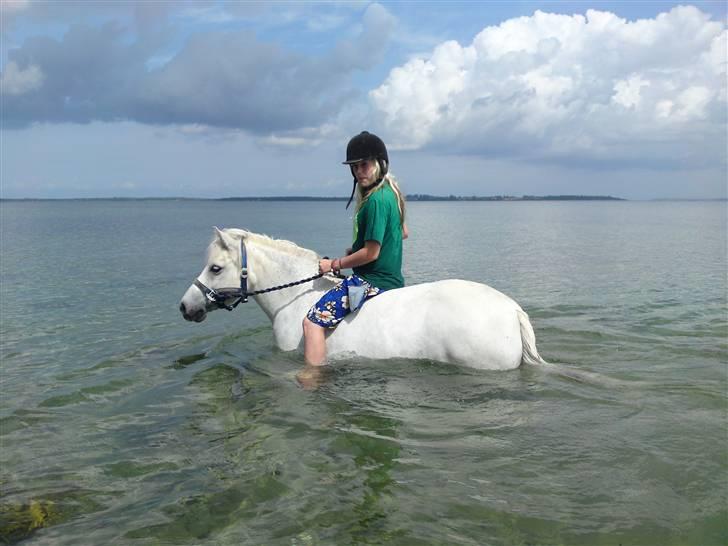 Anden særlig race Mickey mouse billede 11