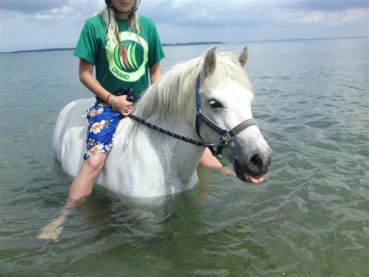 Anden særlig race Mickey mouse billede 13