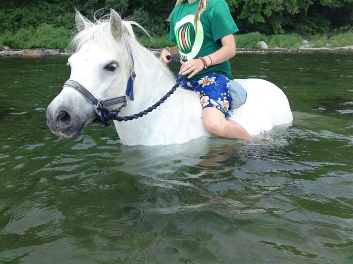 Anden særlig race Mickey mouse billede 14