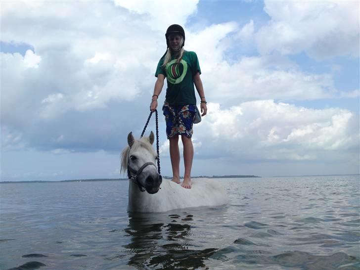 Anden særlig race Mickey mouse billede 15