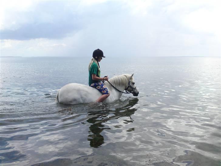 Anden særlig race Mickey mouse billede 16