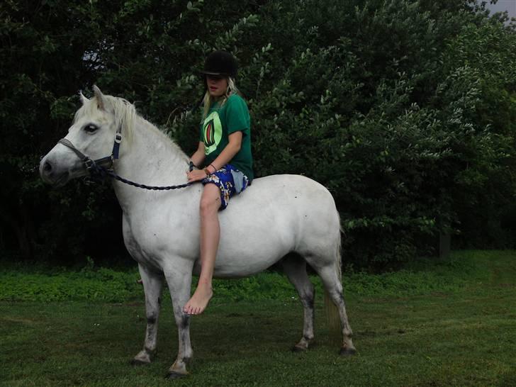 Anden særlig race Mickey mouse billede 18