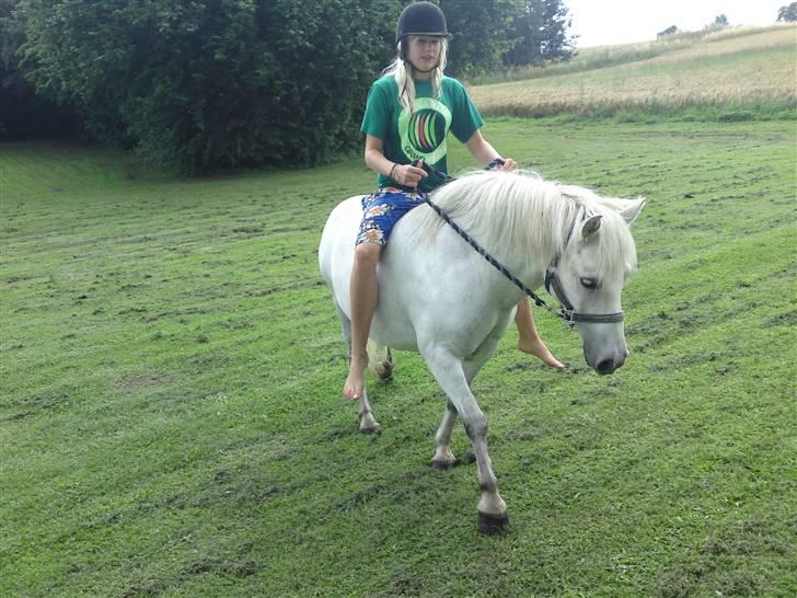 Anden særlig race Mickey mouse billede 19