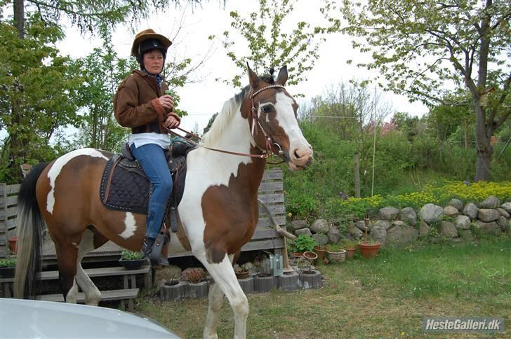 Pinto | Iszpan. - KM foto billede 10