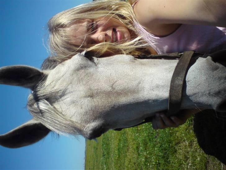 Anden særlig race Chanell (Låne hest) billede 4