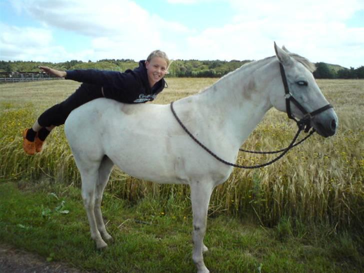 Anden særlig race Chanell (Låne hest) billede 6