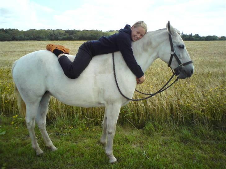 Anden særlig race Chanell (Låne hest) billede 7
