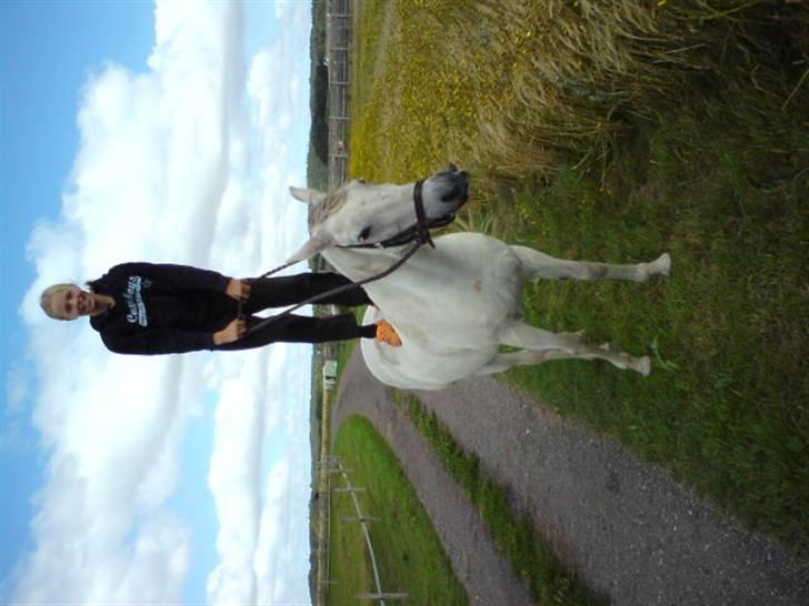 Anden særlig race Chanell (Låne hest) billede 8