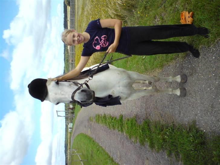 Anden særlig race Chanell (Låne hest) billede 9