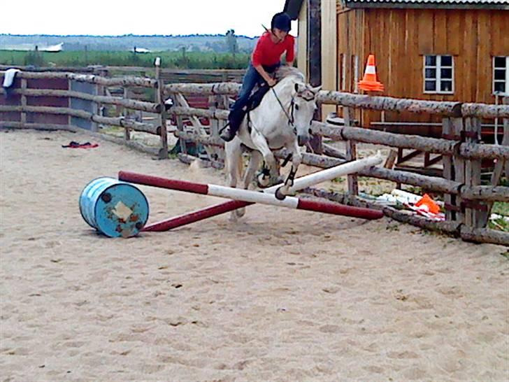 Anden særlig race Chanell (Låne hest) billede 13