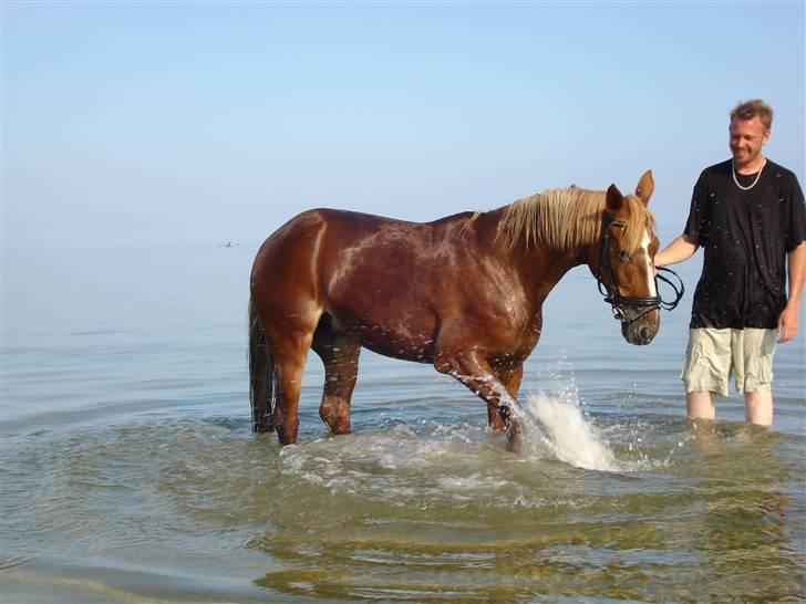 Traver Charmaine *R.I.P.* billede 12