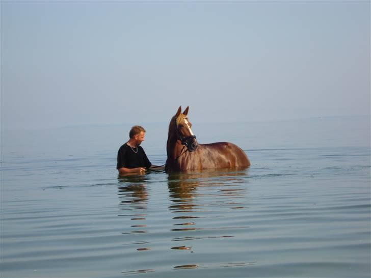 Traver Charmaine *R.I.P.* billede 13