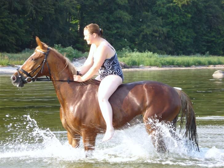 Traver Charmaine *R.I.P.* billede 14