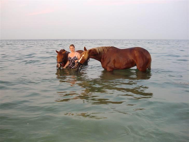 Traver Charmaine *R.I.P.* billede 16