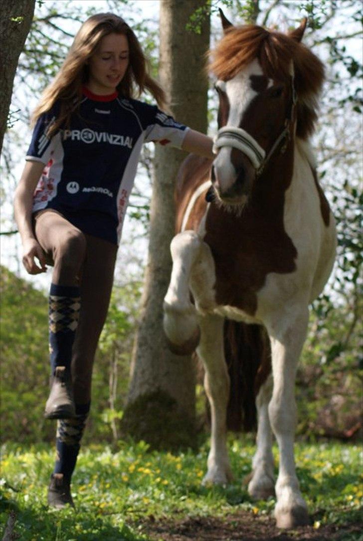 Pinto NM Pimento - Mit eventyr! - Vi klare alting sammen! :`) <3 Fotograf: Line Andersen billede 7