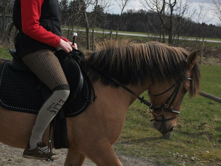 Anden særlig race lukas billede 6